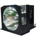 プロジェクターランプ ホームシアター テレビ 海外 輸入 Replacement for Light Bulb/LAMP 51563-G Projector T...