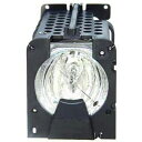 プロジェクターランプ ホームシアター テレビ 海外 輸入 Replacement for Light Bulb/LAMP 51391-G Projector T...
