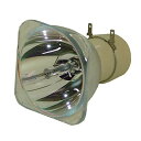 プロジェクターランプ ホームシアター テレビ 海外 輸入 Replacement for Light Bulb/LAMP 103580 Projector TV...