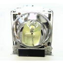 プロジェクターランプ ホームシアター テレビ 海外 輸入 Replacement for Light Bulb/LAMP 50009-G Projector T...