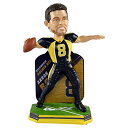 ボブルヘッド バブルヘッド 首振り人形 ボビンヘッド BOBBLEHEAD FOCO Aaron Rodgers Cal Golden Bears Specia...