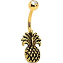 ボディキャンディー ボディピアス アメリカ 日本未発売 ウォレット Body Candy Gold PVD Steel Clear Accent Tropica...