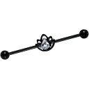 ボディキャンディー ボディピアス アメリカ 日本未発売 ウォレット Body Candy Black Anodized Steel Clear Lonely L...