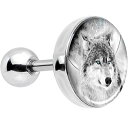 ボディキャンディー ボディピアス アメリカ 日本未発売 ウォレット Body Candy Stainless Steel Blue Eyed Night Wol...