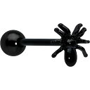 ボディキャンディー ボディピアス アメリカ 日本未発売 ウォレット Body Candy Anodized Black 3D Spider Barbell To...