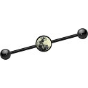 ボディキャンディー ボディピアス アメリカ 日本未発売 ウォレット Body Candy Black Anodized Stainless Steel Glow...