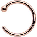 ボディキャンディー ボディピアス アメリカ 日本未発売 ウォレット Body Candy Unisex Adult Solid 14k Rose Gold No...