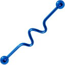 ボディキャンディー ボディピアス アメリカ 日本未発売 ウォレット Body Candy Wave Blue Industrial Project Bar 40...