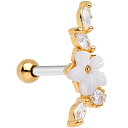 ボディキャンディー ボディピアス アメリカ 日本未発売 ウォレット Body Candy Womens Stainless Steel Clear Gold T...