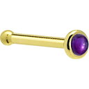 ボディキャンディー ボディピアス アメリカ 日本未発売 ウォレット Solid 14k Yellow Gold 2mm Genuine Amethyst Nos...