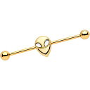 ボディキャンディー ボディピアス アメリカ 日本未発売 ウォレット Body Candy Womens 14G PVD Steel Helix Cartilag...