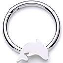 ボディキャンディー ボディピアス アメリカ 日本未発売 ウォレット Body Candy 16G 316L Steel Hinged Segment Ring ...