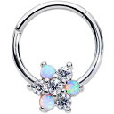 ボディキャンディー ボディピアス アメリカ 日本未発売 ウォレット Body Candy Womens 16G Steel Segment Ring Seaml...