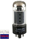 ^ M^[Ex[X Av CO A Brand New Tung-Sol Reissue 7591A Plate Current Tested Vacuum Tube^ M^[Ex[X Av CO A