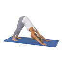 ヨガマット フィットネス 31 Sunny Health and Fitness Yoga Mat (Blue), Model:31ヨガマット フィットネス 3...
