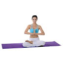 ヨガマット フィットネス 031-P Sunny Health & Fitness DURABLE TEAR-RESISTANT MAT: The tear-r...