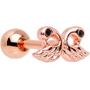 ボディキャンディー ボディピアス アメリカ 日本未発売 ウォレット Body Candy 16G 316L Stainless Steel Helix Stud...