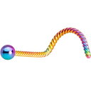 ボディキャンディー ボディピアス アメリカ 日本未発売 ウォレット Body Candy Rainbow IP Steel 2mm Ball Twisted L...
