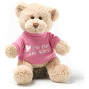 ガンド GUND ぬいぐるみ リアル お世話 GUND “I’m The Big Sister” Message Bear with Pink T-Shirt, Teddy Bear Stuffed Animal for Ages 1 and Up, Brown, 12”ガンド GUND ぬいぐるみ リアル お世話