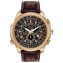 rv V`Y tA COf CO BL5403-03X Citizen Men's Eco-Drive Weekender Brycen Chronograph Watch in Gold-tone Stainless Steel, Brown Leather strap (Model: BL5403-03X)rv V`Y tA COf CO BL5403-03X