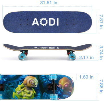 スタンダードスケートボード スケボー 海外モデル 直輸入 【送料無料】SANSIRP Skateboard 31