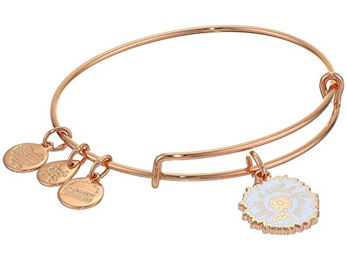 期間限定プライス アレックスアンドアニ アメリカ アクセサリー ブランド かわいい 送料無料 Alex And Ani Color Infusion Bangle Bracelet Rose Gold She S A Wildflower One Sizeアレックスアンドアニ アメリカ アクセサリー ブランド かわいい 返品ok条件付 レディース