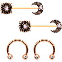 ボディキャンディー ボディピアス アメリカ 日本未発売 ウォレット Body Candy 4Pc 14G Nipplerings Piercing Plated...
