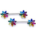ボディキャンディー ボディピアス アメリカ 日本未発売 ウォレット Body Candy Nipplerings Piercing Women 14G 9/16...