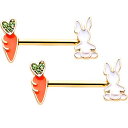 ボディキャンディー ボディピアス アメリカ 日本未発売 ウォレット Body Candy 14G Women Nipplerings Piercing 9/16...