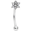 ボディキャンディー ボディピアス アメリカ 日本未発売 ウォレット Body Candy 16G Steel Eyebrow Jewelry Cartilage...