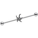 ボディキャンディー ボディピアス アメリカ 日本未発売 ウォレット Body Candy Stainless Steel Seeing Starfish Hel...