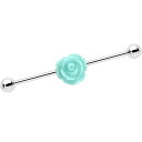 ボディキャンディー ボディピアス アメリカ 日本未発売 ウォレット Body Candy Stainless Steel Light Green Summer ...