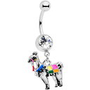 ボディキャンディー ボディピアス アメリカ 日本未発売 ウォレット Body Candy Womens 14G Steel Navel Ring Piercin...