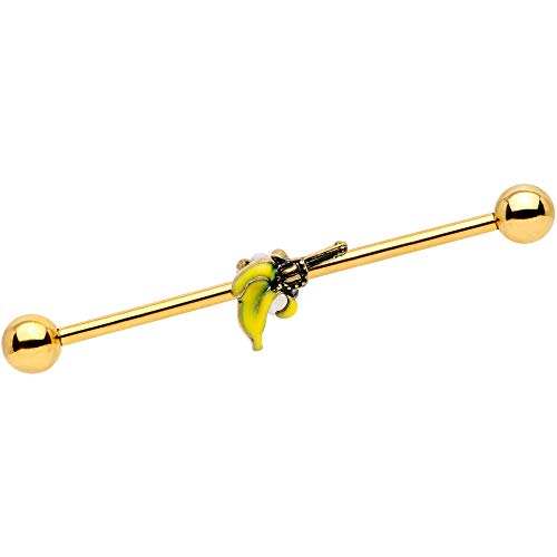 ܥǥǥ ܥǥԥ ꥫ ̤ȯ å Body Candy Womens 14G PVD Steel Helix Cartilage Earring Banana Peel Gun Industrial Barbell 1 1/2