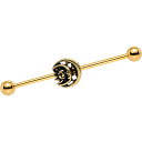 ボディキャンディー ボディピアス アメリカ 日本未発売 ウォレット Body Candy Gold PVD Steel Sun of The Moon Heli...