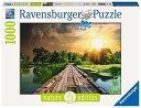 Х  1000ԡ ƻ 70x50 衦 Ravensburger