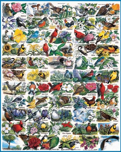 ジグソーバズル 海外製 1000ピース 州の鳥と花 サイズ約60×76センチ ペット・動物 White Mountain Puzzles