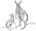 スワロフスキー Swarovski カンガルーの親子 約16センチ 5428563 動物 クリスタル インテリア