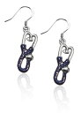 気まぐれなかわいい プレゼント クリスマス ピアス アメリカ Whimsical Gifts Nurse Charm Earrings (Stethoscope...