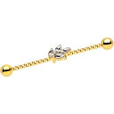 ボディキャンディー ボディピアス アメリカ 日本未発売 ウォレット Body Candy 14G Anodized Steel Helix Cartilage ...