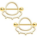 ボディキャンディー ボディピアス アメリカ 日本未発売 ウォレット Body Candy 2Pc 14G Nipplerings Piercing Women ...