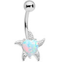 ボディキャンディー ボディピアス アメリカ 日本未発売 ウォレット Body Candy Womens 14G Steel Navel Ring Piercin...