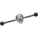 ボディキャンディー ボディピアス アメリカ 日本未発売 ウォレット Body Candy Womens 14G Black PVD Steel Helix Ca...