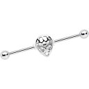 ボディキャンディー ボディピアス アメリカ 日本未発売 ウォレット Body Candy Womens 14G Steel Helix Cartilage Ea...