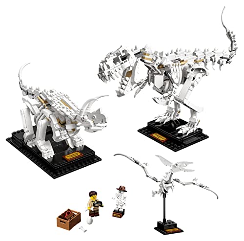 レゴ クリエイター LEGO Ideas Dinosaur Fossils Collector 039 s Model 21320 Natural History Museum Display Building Toyレゴ クリエイター
