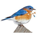 ジグソーパズル 海外製 アメリカ Madd Capp I Am Bluebird 300-Piece Bird-Shaped Jigsaw Puzzleジグソー...