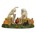 デパートメント56 Department 56 置物 インテリア 海外モデル Department 56 Village Halloween Scary Ske...