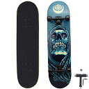 スタンダードスケートボード スケボー 海外モデル 直輸入 Dreambeauty 31 inch Pro Skateboard Complete,7 Layer...