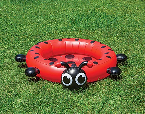 プール ビニールプール ファミリープール オーバルプール 家庭用プール Poolmaster Ladybug Kiddie Pool Swimming Poolプール ビニールプール ファミリープール オーバルプール 家庭用プール