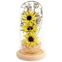 スノーグローブ 雪 置物 インテリア 海外モデル OSALADI 1pc Sunflower Led Lamp Stocking Stuffers Glass Fairy Lights Desk Topper Preserved Sunflower Fairy Light Lamp Bedside Lamp Moms Gift Plastic Glass Lamp Wスノーグローブ 雪 置物 インテリア 海外モデル